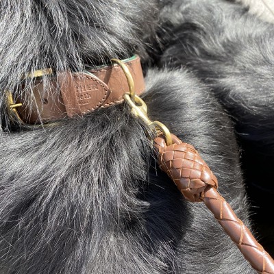 CITYWALK hundehalsbånd, cognac/mosgrøn