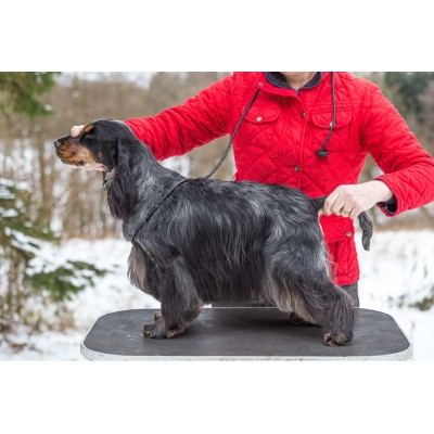Show-Leine 60cm Retriever mit 'Stopper' - 5 Farben
