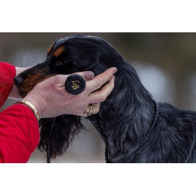 Show-Leine 60cm Retriever mit 'Stopper' - 5 Farben
