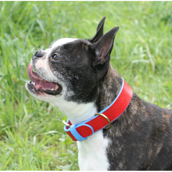 'SMILE AT ME' Hundehalsband...