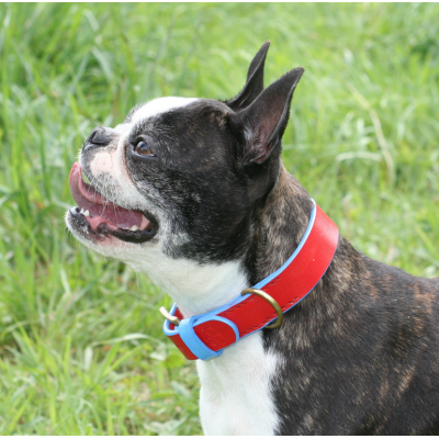'SMILE AT ME' hundehalsbånd, rød/lyseblå