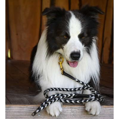 Maxiflet, black/silver dog leash