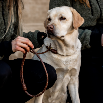 MG Retriever-leash in cognac, danish design