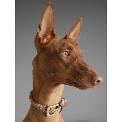 Miniflet Hundehalsband Regenbogen, dänisches Design