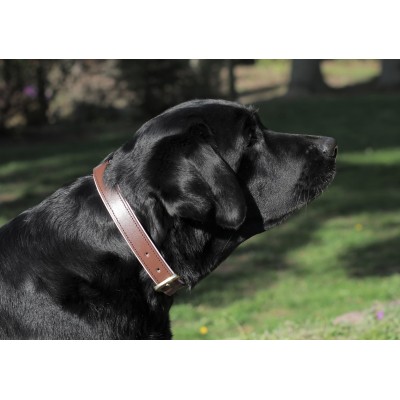 Citywalk Hundehalsband Cognac/Créme, dänisches Design
