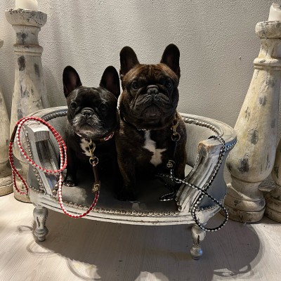 Miniflet, black/silver dog leash