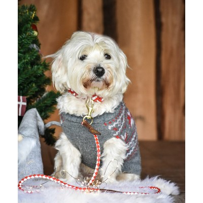 Miniflet, red/white dog leash