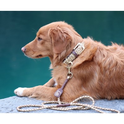 Miniflet, Gold Hundeleine