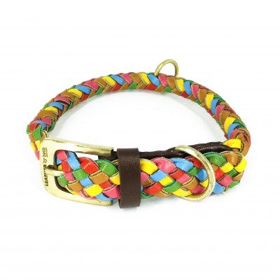 Maxiflet Hundehalsband Regenbogen, dänisches Design