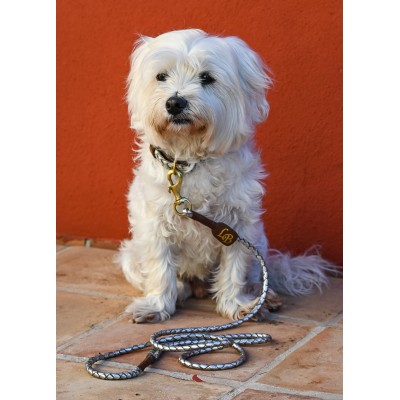 Miniflet, silver dog leash