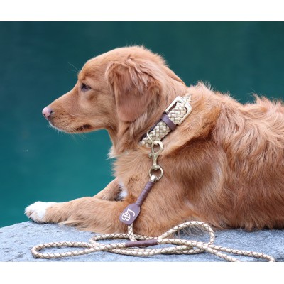 Maxiflet Hundehalsband Gold, dänisches Design