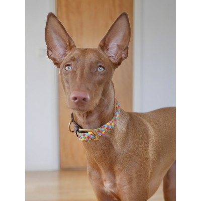 Maxiflet dog collar rainbow, danish design