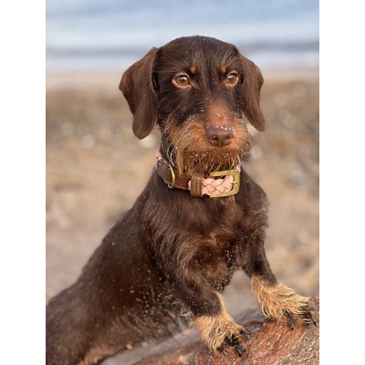 MINIFLET hundehalsbånd, lyserød