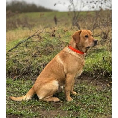 Half choke, cognac/reflex orange + reflex, danish design