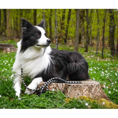 Maxiflet, black/silver dog leash