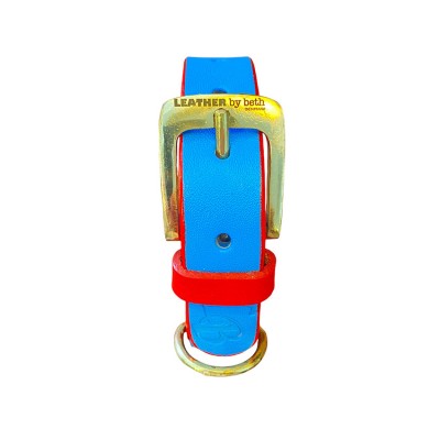 'SMILE AT ME' dog collar lightblue/red, danish design