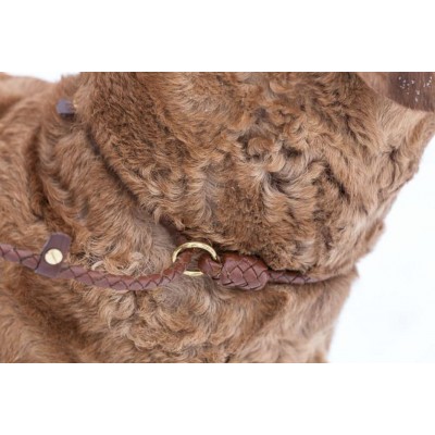 MG Retriever-leash in cognac, danish design