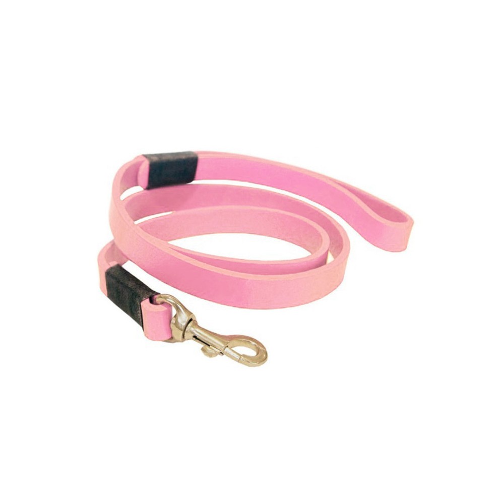 Smile at me dog leash