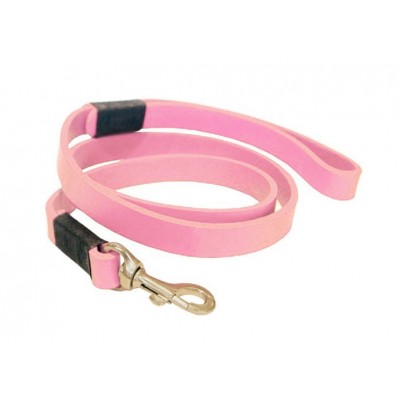 Smile at me dog leash