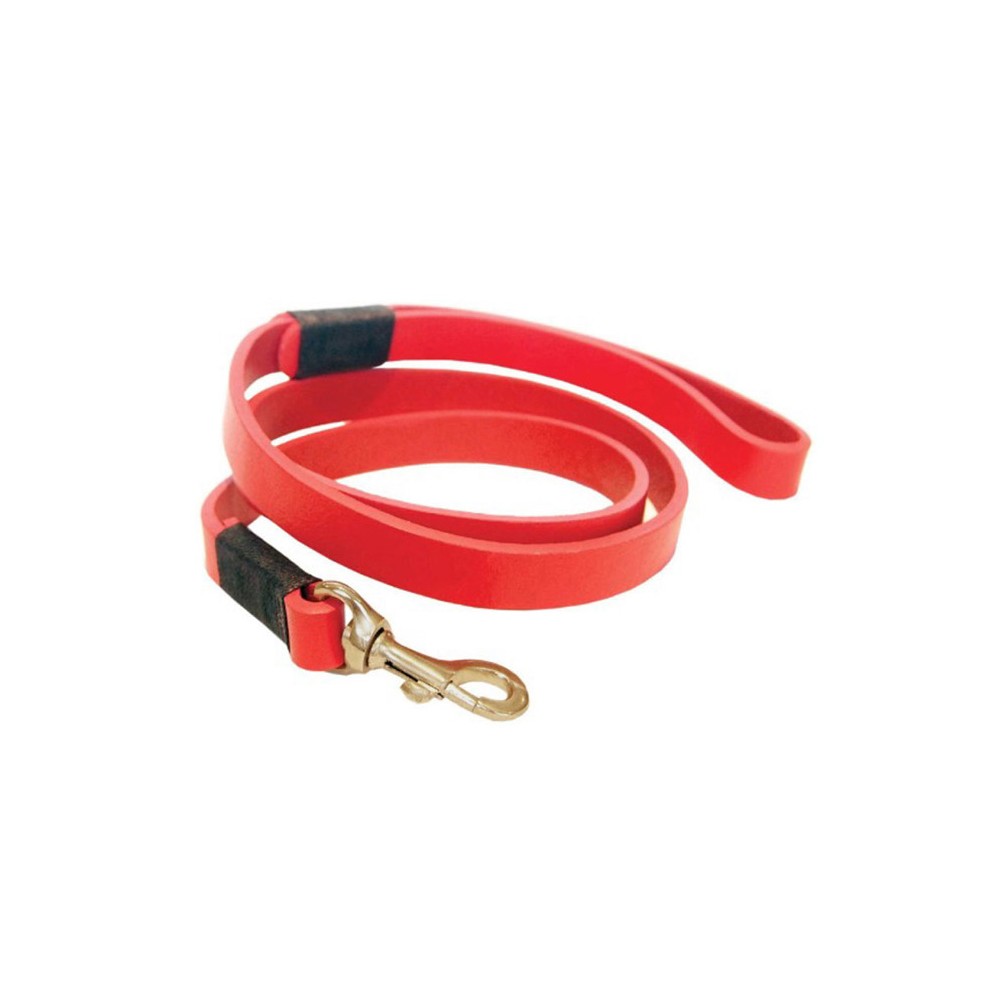 Smile at me dog leash