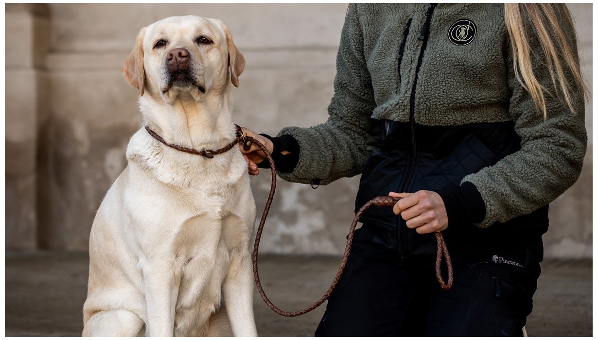 Retrieverleine aus Leder | Handgefertigt von LEATHER by beth