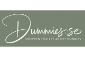 Dummies.se